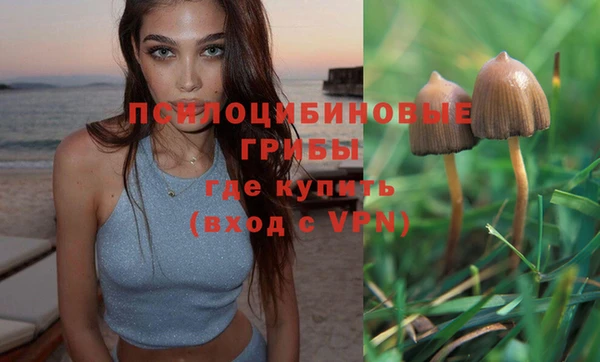 ALPHA PVP Арсеньев