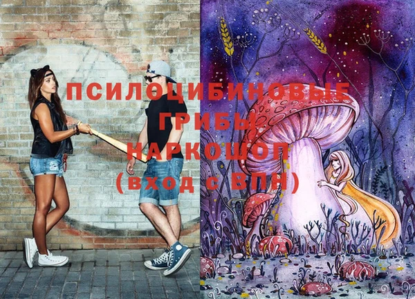 спайс Аркадак