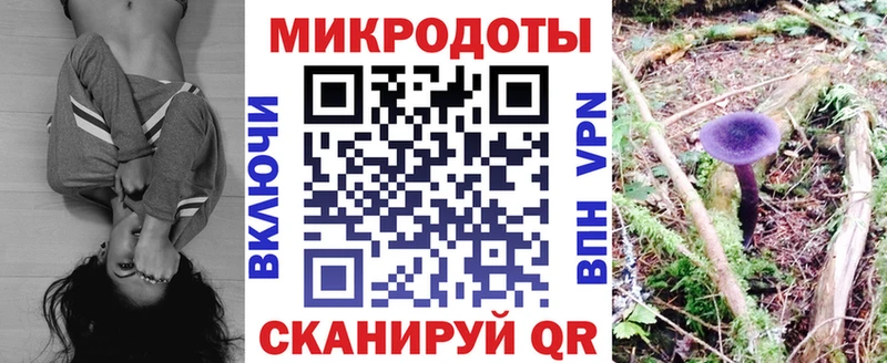 даркнет какой сайт  Орёл  Псилоцибиновые грибы GOLDEN TEACHER 